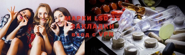 гашик Алексин